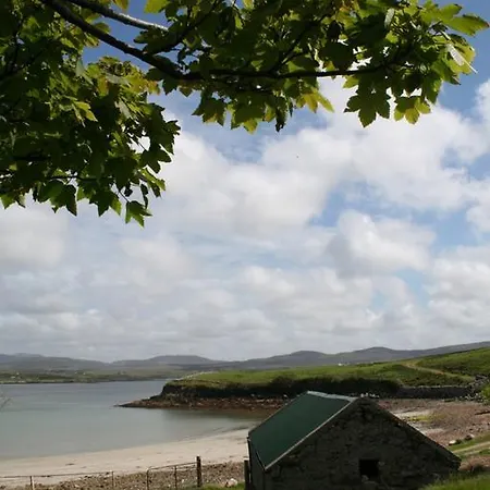 101 - Moyard Letterfrack