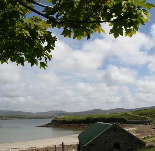 101 - Moyard Letterfrack