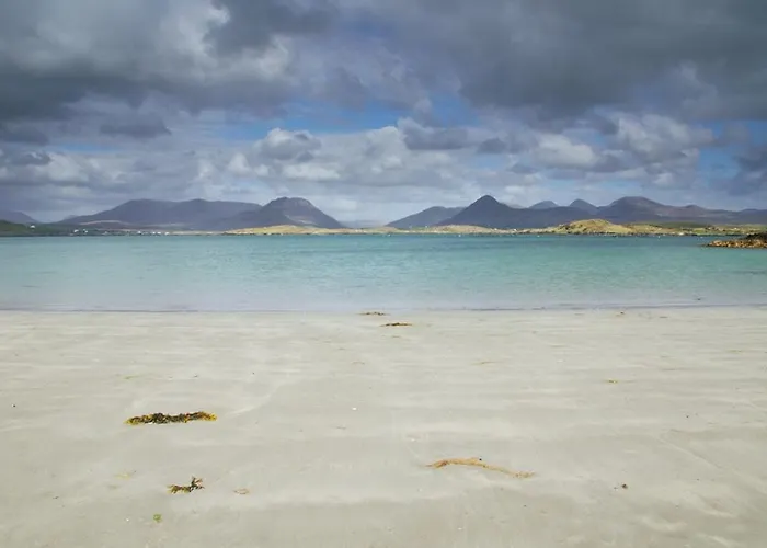 101 - Moyard Hébergement de vacances